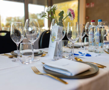 VIP-loge